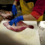 NEW YORK has sued the U.S. Department of Commerce to get the right to fish for a greater share of fluke. The state's argument includes changes to fish stocks due to climate change. / BLOOMBERG NEWS FILE PHOTO/SCOTT EELLS