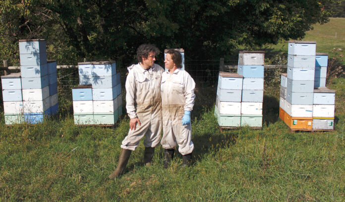 SWEET GIG: Beekeepers James Cook and Samantha Jones stand in front of some of their hives at one of their bee yards near Iola, Wis. The couple has worked with honeybees for several years but started their own business this year.  / AP PHOTO/CARRIE ANTLFINGER