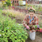 ALL GROWN UP: Krystal Kraczkowski, a grower at What Cheer Flower Farm in Providence, gathers fresh flowers from the nonprofit’s garden. /PBN PHOTO/TRACY JENKINS