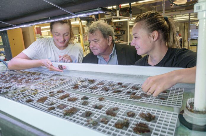 LAB VISIT: Roger Williams University President Ioannis Miaoulis visits with Emma Place, left, and Alicia Schickle, who are examining the Northern Star Coral being raised in the university’s wet lab. / PBN PHOTO/MICHAEL SALERNO