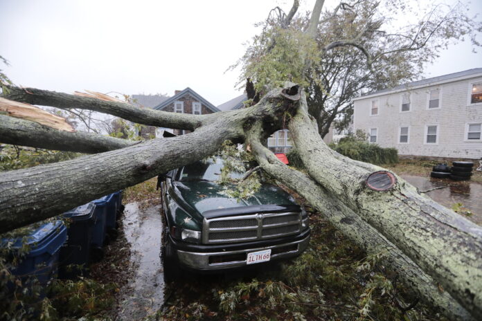 THOUSANDS IN THE REGION remained without power Thursday, following a coastal storm that slammed the region Wednesday. Above, a large tree fell onto a pickup truck in Fairhaven, Mass., on Wednesday. / PETER PERIERA/THE STANDARD-TIMES VIA AP