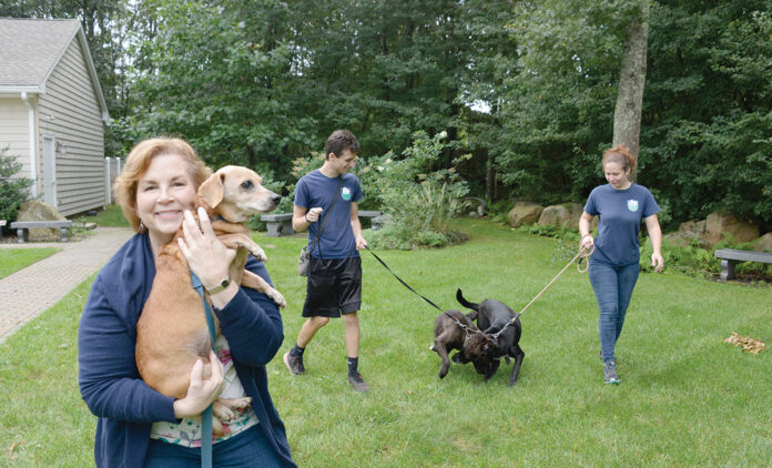 RESCUES: Volunteer Bryan Houle and staff member Lexi Bouchard walk dogs while Executive Director Elizabeth Skrobisch holds new arrival Minnie at Animal Rescue Rhode Island in South Kingstown. / PBN PHOTO/ELIZABETH GRAHAM