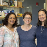 THREE UNIVERSITY OF RHODE ISLAND researchers, from left, Soni Pradhanang and Dawn Cardace, associate professors of geosciences, and Serena Moseman-Valtierra, an associate professor of biological sciences, were awarded a $735,000 grant by the NASA Established Program to Stimulate Competitive Research to study methane gas emissions. / COURTESY UNIVERSITY OF RHODE ISLAND