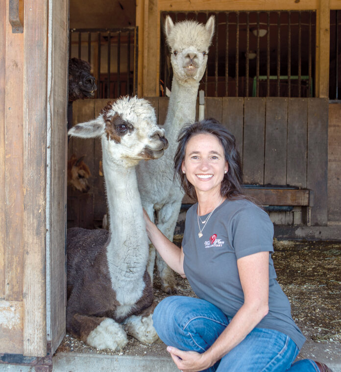TO THE RESCUE: Wendy Taylor, founder and executive director of Tiverton-based nonprofit West Place Animal Sanctuary, oversees a home to approximately 100 rescued farm animals, wild waterfowl and gam/  PBN PHOTO/KATE WHITNEY LUCEY