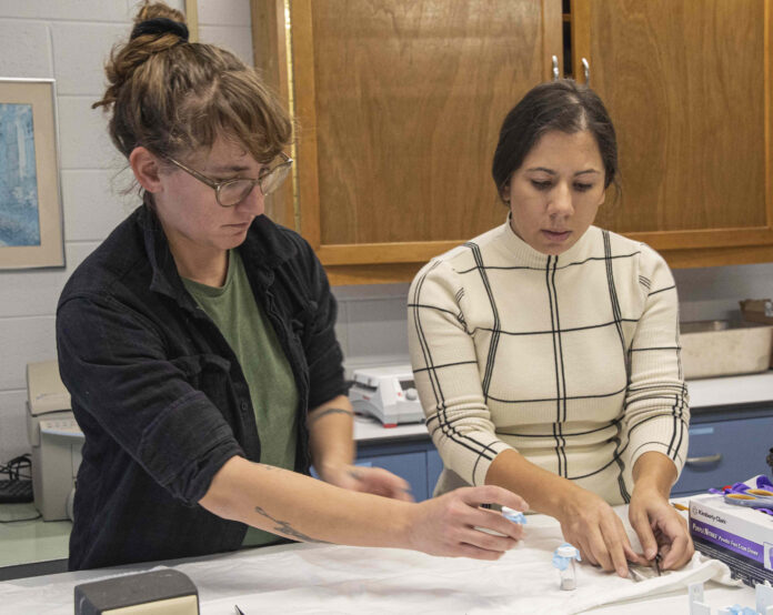 URI entomologist receives 2.6M grant to study Lyme disease bacteria