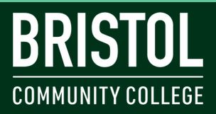 BRISTOL COMMUNITY COLLEGE is currently investigating a cyberattack where hackers attempted to damage the college’s computer network.