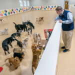 ROOM TO RUN: Robert Wheeler, co-owner of Friends of Toto Inc. in Pawtucket, spent $400,000 to double his business space but must now attract more customers to cover the cost.  PBN FILE PHOTO/­MICHAEL SALERNO