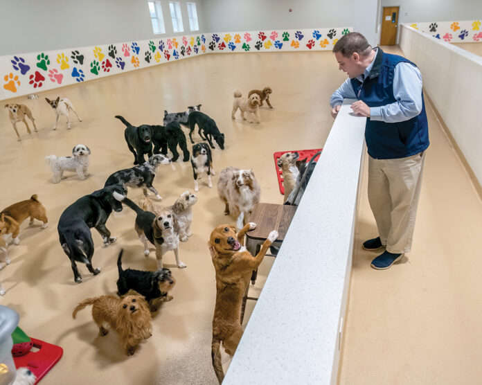 ROOM TO RUN: Robert Wheeler, co-owner of Friends of Toto Inc. in Pawtucket, spent $400,000 to double his business space but must now attract more customers to cover the cost.  PBN FILE PHOTO/­MICHAEL SALERNO